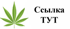 Купить наркотики в Александровске